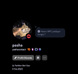 pasha.PNG