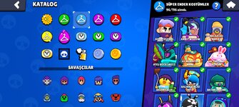 WhatsApp Image 2026-02-17 at 12.54.08 (1).jpeg