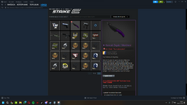 steam görüntrü 3 .png
