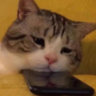 SalkimSucuk